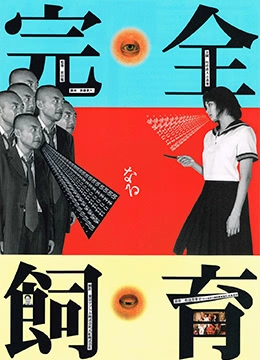 欧洲妓女小BBW-高清DVD免费完整版高清